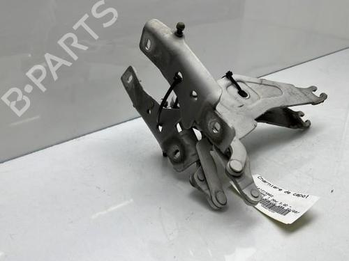 Hinge/Door check strap BMW X5 (E70)  | BP19950531C146 