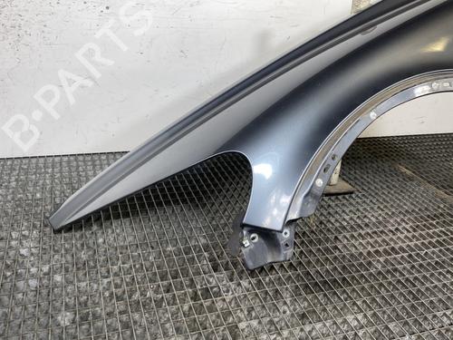 Left front fenders VOLVO C30 (533) 1.6 D | BP24638648C41 