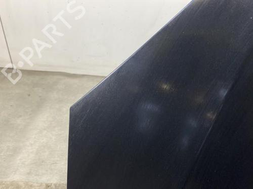 Hood FORD FOCUS C-MAX (DM2)  | BP19969542C1 