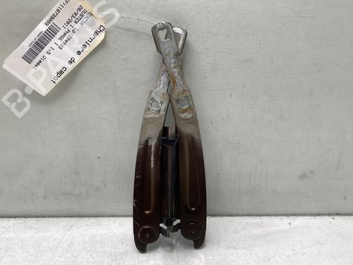 hingedoor-check-strap-dacia-duster-hs_-2010-2011-2012-2013-2014-2015-2016-2017-2018-32190387 main image