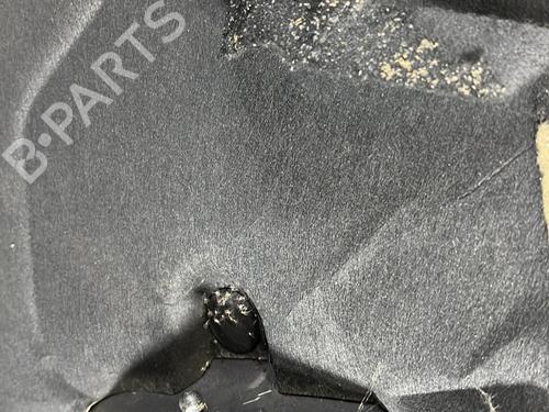 Hood OPEL ANTARA A (L07) 2.2 CDTi | BP31354422C1 