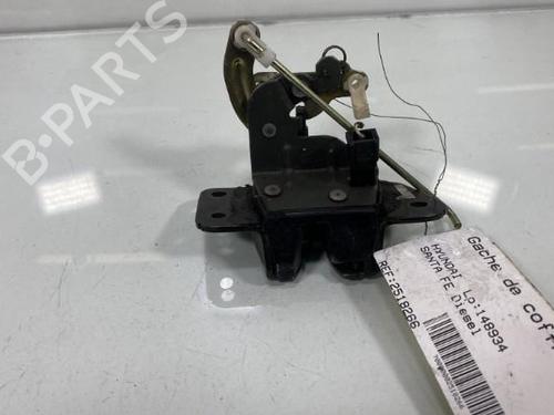 Used Tailgate lock HYUNDAI SANTA FÉ I (SM) 2.0 CRDi 4x4 (125 hp) 20007418