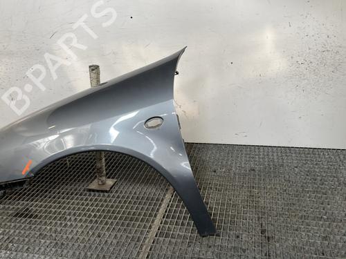 Left front fenders CITROËN XSARA (N1) 2.0 HDi 90 | BP29501676C41 