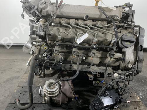 Motor für KIA VENGA (YN) 1.6 CRDi 115 (116 hp) 29912125