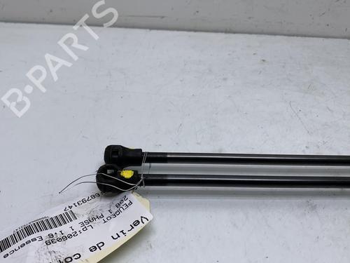 Tailgate lift support PEUGEOT 208 I (CA_, CC_) 1.6 VTi | BP19974532C138