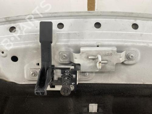 Hood RENAULT SCÉNIC III (JZ0/1_) 1.9 dCi (JZ0J, JZ1J, JZ1K, JZ1S) | BP19954873C1