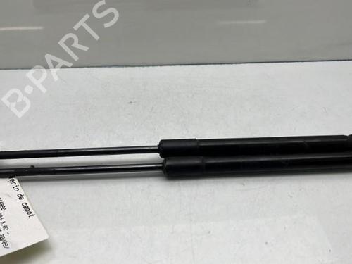 Hood lift support BMW X5 (E70)  | BP19950511C139