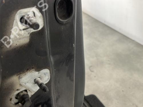 Right front door RENAULT CLIO III (BR0/1, CR0/1) 1.6 16V (BR09, BR0T, CR09, CR0T) | BP29841444C3 