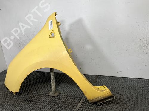 Left front fenders RENAULT KANGOO Express (FW0/1_) 1.5 dCi 70 (FW0A, KW0V) | BP29413649C41 