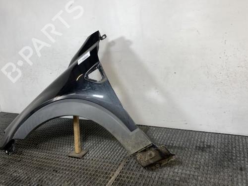 Left front fenders CHEVROLET CAPTIVA (C100, C140) 2.0 D | BP20646621C41 