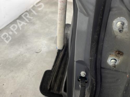 Left front door NISSAN MICRA III (K12) 1.2 16V | BP29939253C2