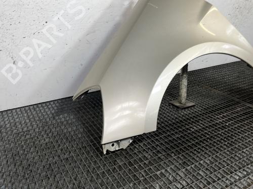 Left front fenders RENAULT CLIO III (BR0/1, CR0/1) 1.5 dCi (BR17, CR17) | BP29841694C41