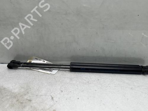 Tailgate lift support SUZUKI IGNIS III (MF, FF) 1.2 Hybrid AllGrip (ATK412) | BP19954385C138