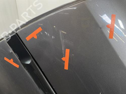 Left rear door RENAULT CLIO III (BR0/1, CR0/1) 1.5 dCi (C/BR0G, C/BR1G) | BP29339903C4 