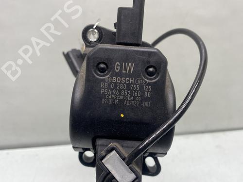 Pedal PEUGEOT 407 Coupe (6C_) 2.0 HDi | BP29507994I4 