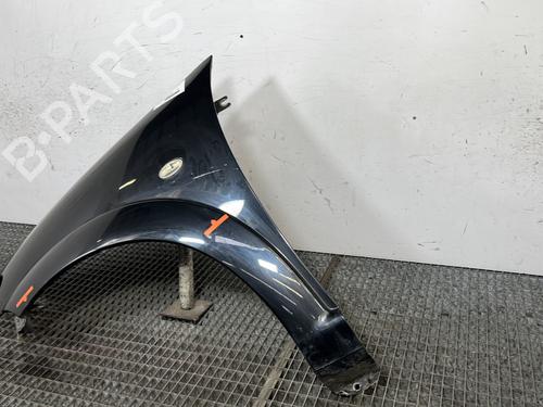 Left front fenders CITROËN C3 II (SC_) 1.6 HDi 90 | BP29525296C41 