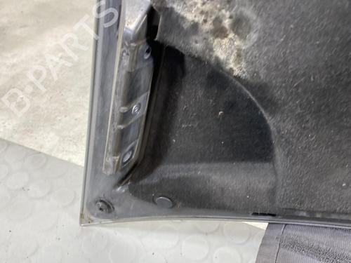 Hood SMART FORFOUR (454) 1.1 (454.030) | BP20185669C1 
