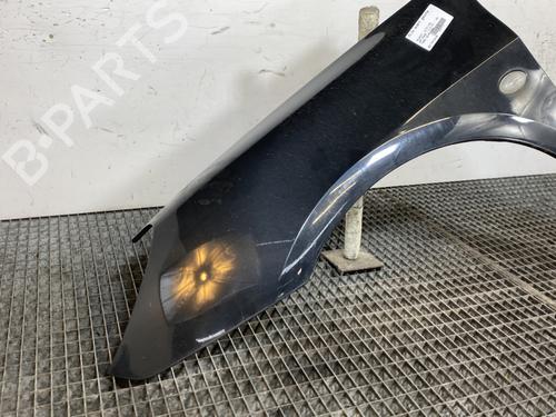 Left front fenders PEUGEOT 307 (3A/C) 2.0 HDi 135 | BP23877606C41 