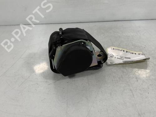 Rear right belt tensioner PEUGEOT 407 SW (6E_, 6D_) 2.0 HDi 135 | BP20013977C90 