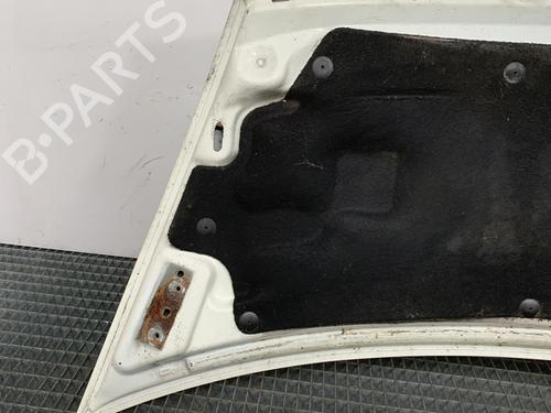 Hood FORD TRANSIT Van (FA_ _) 2.0 DI (FAE_, FAF_, FAG_) | BP21958348C1 
