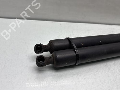 Tailgate lift support CITROËN BERLINGO Box Body/MPV (B9) 1.6 BlueHDi 100 | BP29841718C138