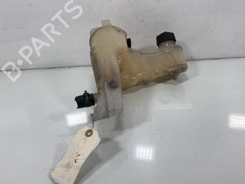 Used Expansion tank Expansion tank RENAULT LAGUNA III (BT0/1) 1.5 dCi (BT00, BT0A, BT0T, BT1J) (110 hp) 19951399 19951399
