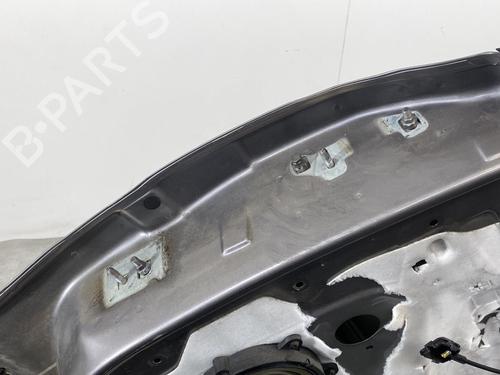 Right rear door RENAULT CLIO III (BR0/1, CR0/1)  | BP21957730C5 