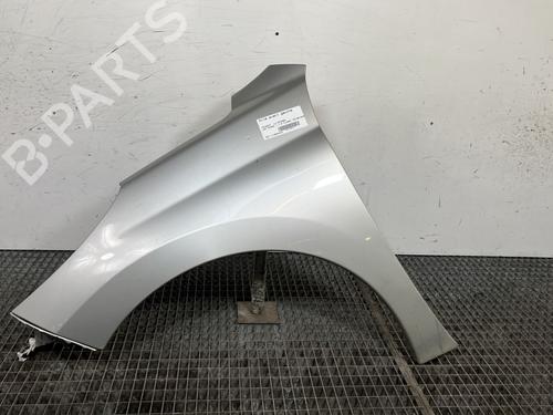 Used Left front fenders PEUGEOT 207 (WA_, WC_) 1.6 HDi (90 hp) 29744671