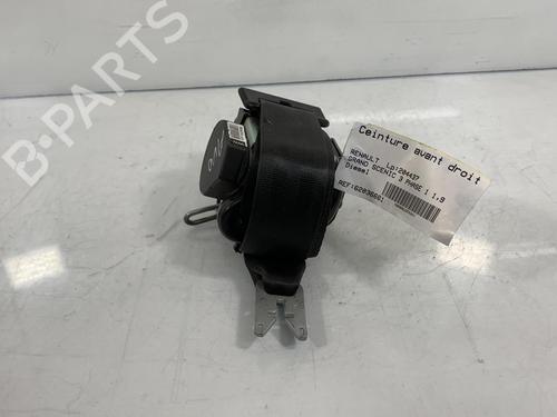 Front right belt tensioner RENAULT SCÉNIC III (JZ0/1_) 1.9 dCi (JZ0J, JZ1J, JZ1K, JZ1S) | BP19996989C88 