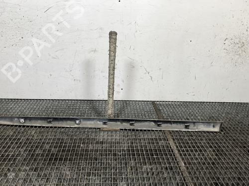 Door moulding trim PEUGEOT 206 CC (2D) 1.6 HDi 110 | BP31213231C150