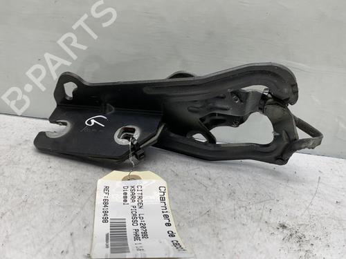 Used Hinge/Door check strap CITROËN XSARA PICASSO (N68) 1.6 HDi (109 hp) 19974730