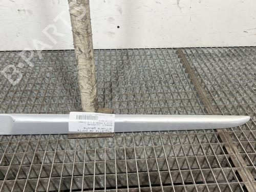 door-moulding-trim-renault-clio-iii-br01-cr01-2005-2006-2007-2008-2009-2010-2011-2012-2013-2014-30438468 main image