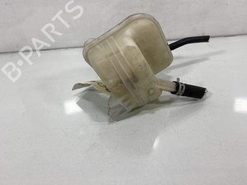 Expansion tank NISSAN QASHQAI / QASHQAI +2 I (J10, NJ10, JJ10E) 1.6 | BP19953693C120 