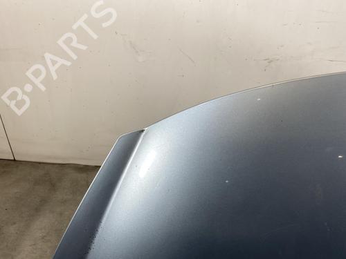 Used Hood Hood PEUGEOT 207 (WA_, WC_) 1.4 HDi (68 hp) 30964644 30964644