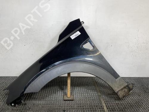Left front fenders CHEVROLET CAPTIVA (C100, C140) 2.0 D | BP20646621C41 