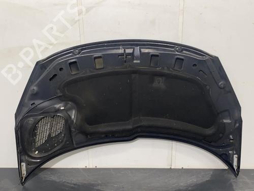 Used Hood PEUGEOT 206+ (2L_, 2M_) 1.1 (60 hp) 20000420