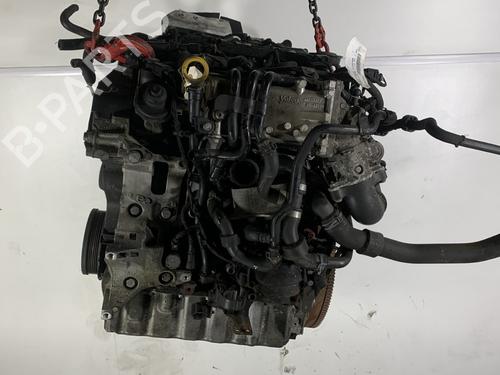 Used Engine VW GOLF VI (5K1) [2008-2014]  24429001