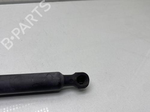 Hood lift support RENAULT CLIO IV (BH_) 1.2 16V | BP31212575C139