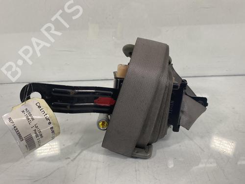 Front left belt tensioner NISSAN X-TRAIL I (T30) 2.2 dCi 4x4 | BP19981884C87 
