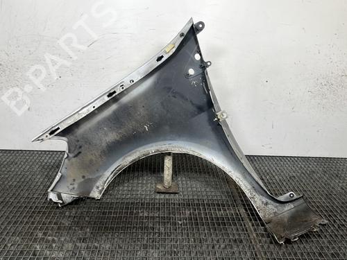 Right front fenders RENAULT CLIO III (BR0/1, CR0/1) 1.5 dCi (BR17, CR17) | BP29841532C42