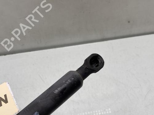 hood-lift-support-renault-clio-iv-bh_-2012-2013-2014-2015-2016-2017-2018-2019-2020-2021-31213028 main image