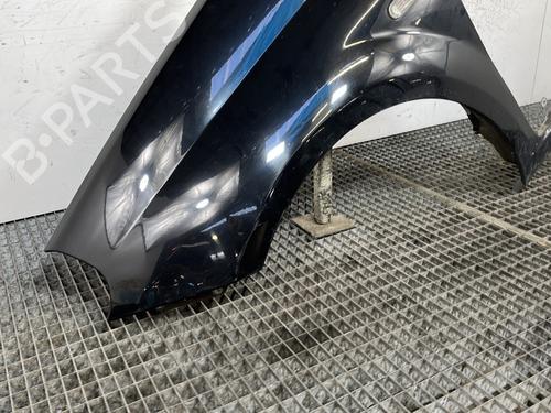 Left front fenders FIAT GRANDE PUNTO (199_) 1.2 | BP29995813C41