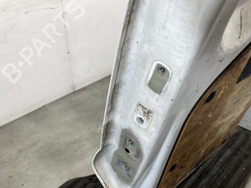 Right tailgate PEUGEOT EXPERT Van (VF3A_, VF3U_, VF3X_) 1.6 HDi 90 16V | BP28449977C77 