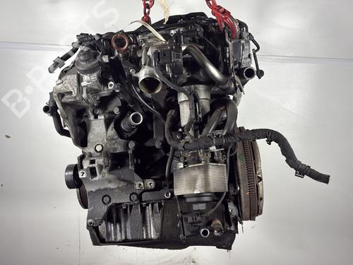 Engine VW GOLF VI (5K1) 2.0 TDI | BP31939397M1 - Image 2
