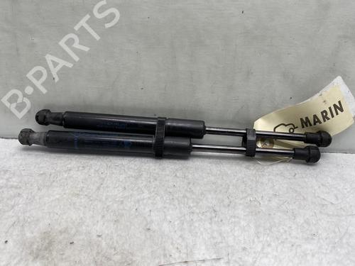 Used Hood lift support RENAULT GRAND SCÉNIC IV (R9_) [2016-2023]  19993144