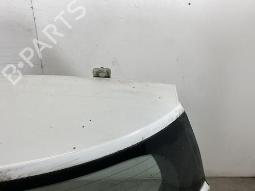 Tailgate RENAULT MEGANE II (BM0/1_, CM0/1_) 1.5 dCi (BM1E, CM1E) | BP25592802C6 