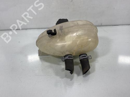 Expansion tank RENAULT TWINGO III (BCM_, BCA_) 0.9 TCe 90 (BCM9, BCM2) | BP20013236C120 