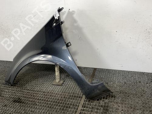 Left front fenders RENAULT CLIO III (BR0/1, CR0/1) 1.5 dCi (BR17, CR17) | BP25866032C41 