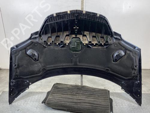 Hood LANCIA PHEDRA (179_) 2.0 D Multijet (179.AXL1B, 179.BXL1B) | BP21485909C1 