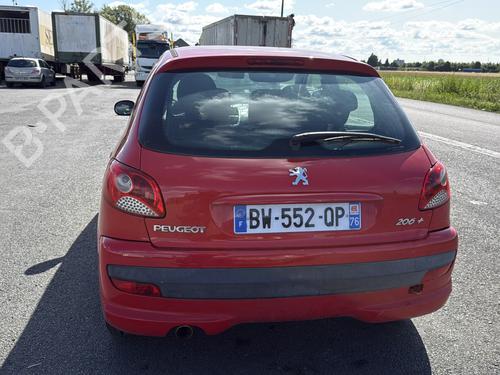 Left front door PEUGEOT 206+ (2L_, 2M_) 1.4 i | BP29999542C2